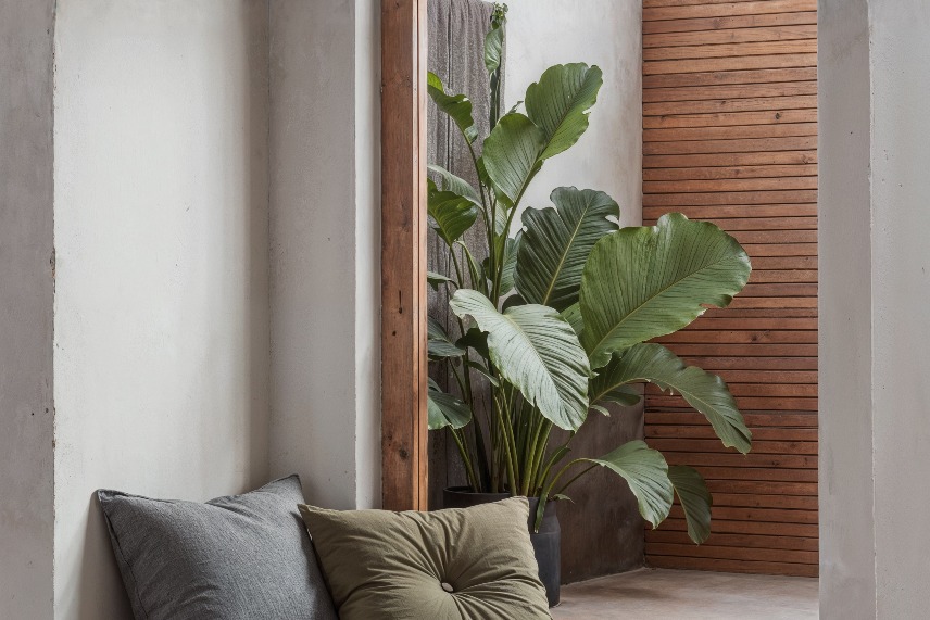 Innenarchitektur mit natürlichen & erdigen „Earthy Vibrancy“ Farbpaletten