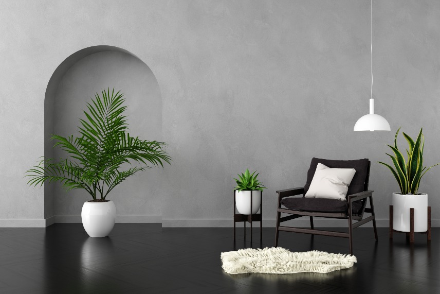 Renk Seçimi Draması: Neden Herkese İlk Başta Gri Güzel Gelir?